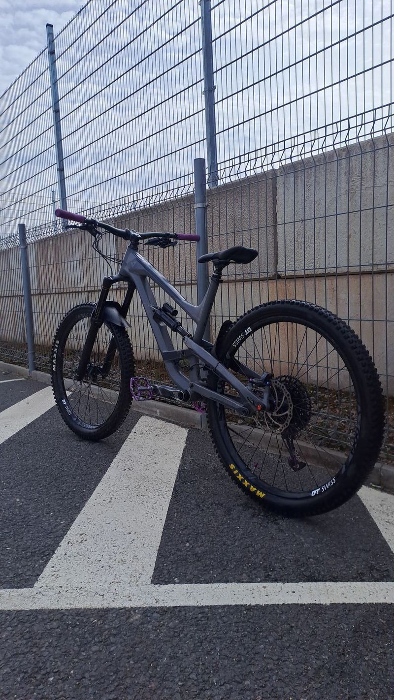 Yt capra 2019
