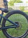 CTM DIRTKING