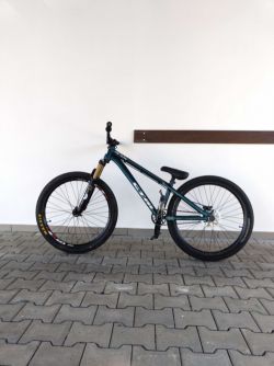 CTM DIRTKING
