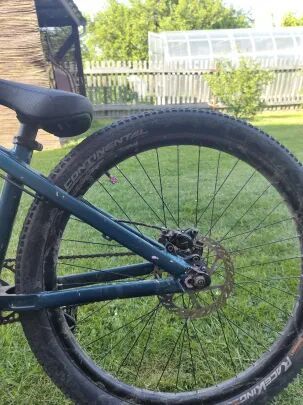 CTM DIRTKING