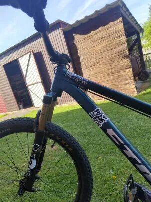 CTM DIRTKING