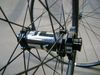 DUKE LS HD Dynamal (1560g)