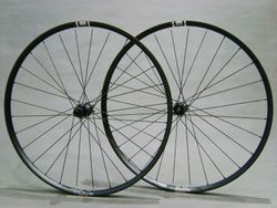 DUKE LS HD Dynamal (1560g)