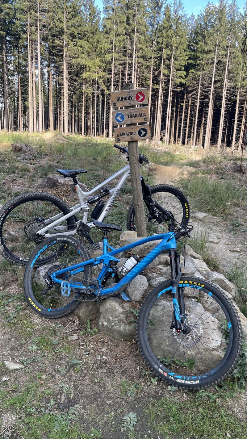 Canyon strive cf
