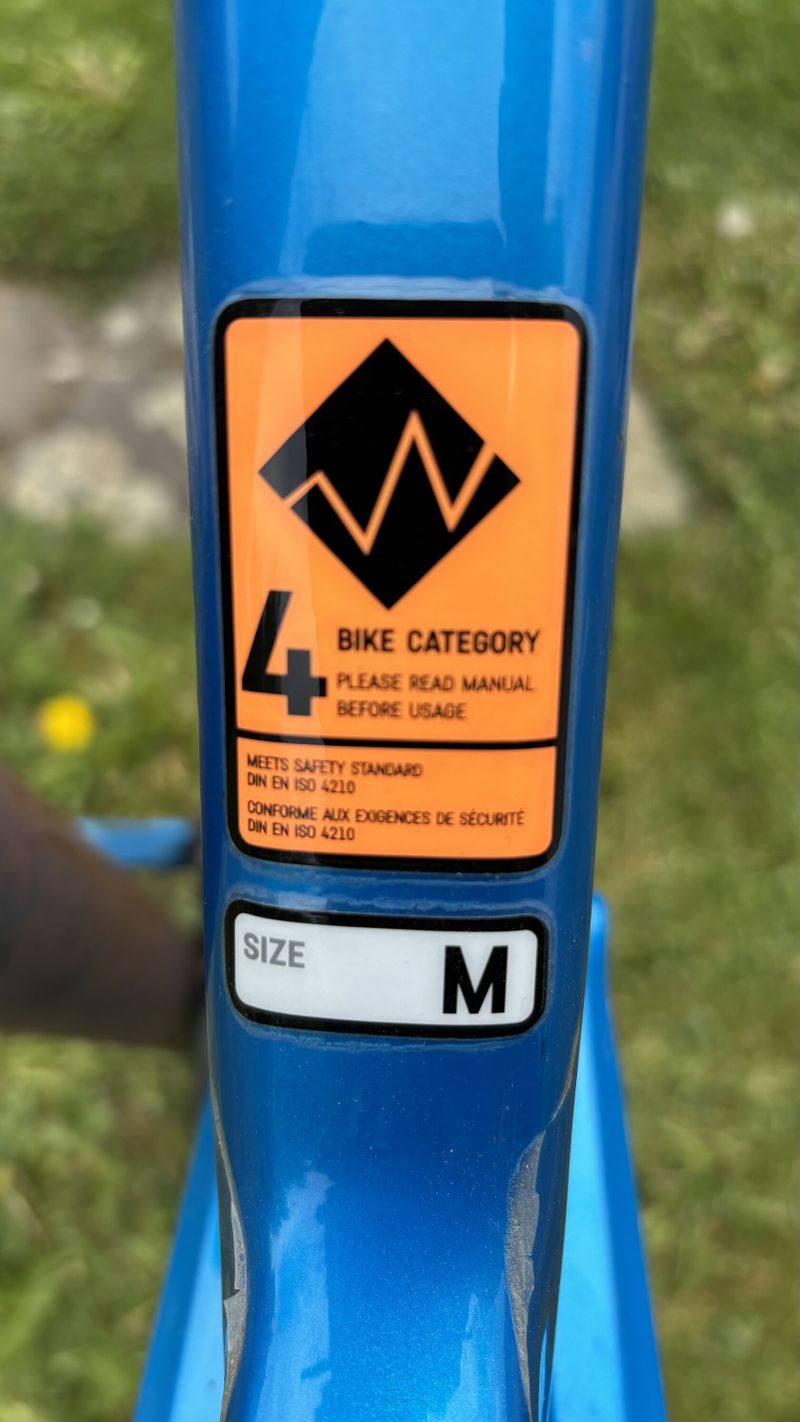 Canyon strive cf