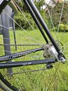 Fuji Roubaix LTD