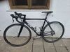 Fuji Roubaix LTD