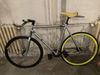 Singlespeed / Fixed gear