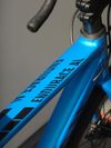 Canyon Endurace AL Disc 6.0