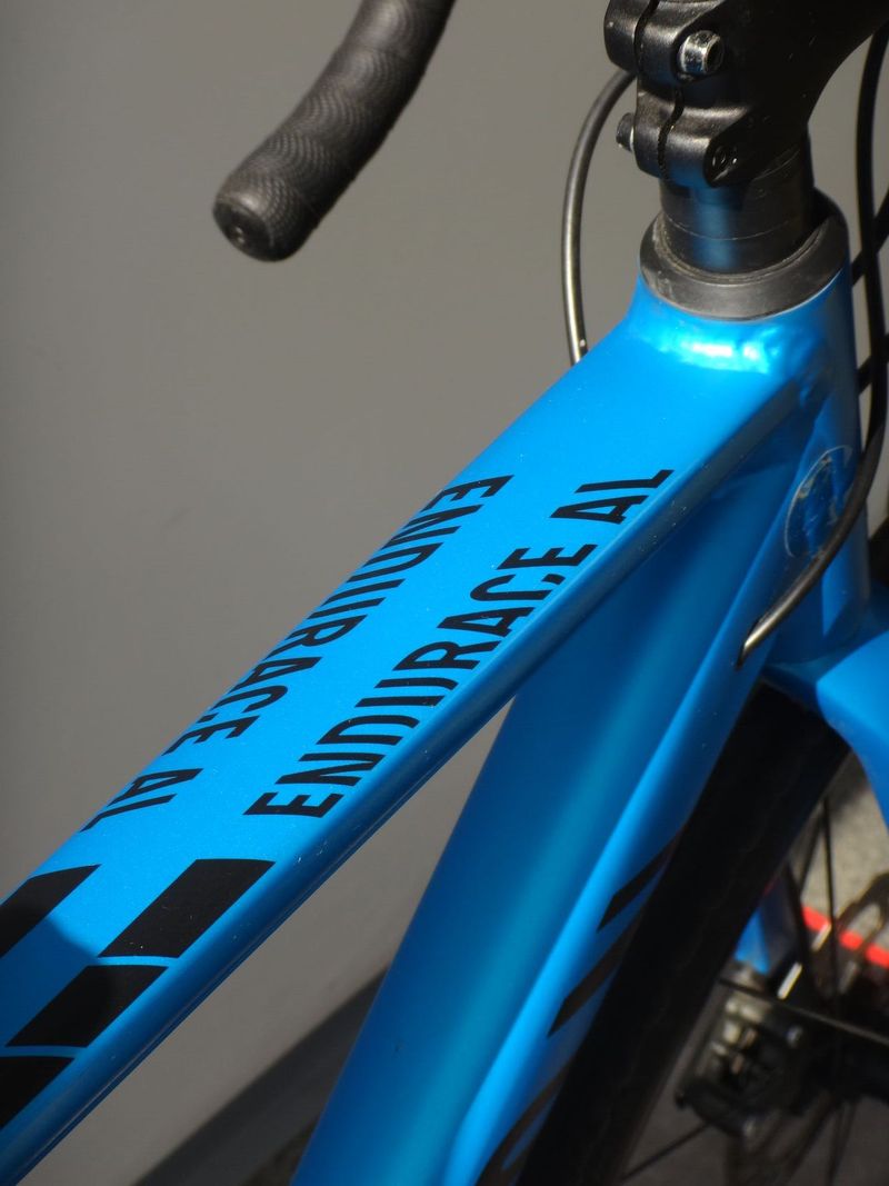 Canyon Endurace AL Disc 6.0