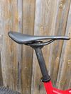 Trek Supercaliber 9.9 XX1, Project ONE, vel. XL