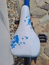 Superior Paint 20"
