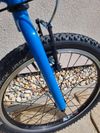 Superior Paint 20"