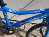 Superior Paint 20"