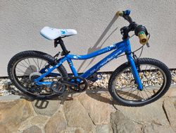 Superior Paint 20"