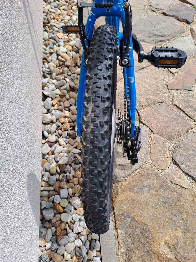 Superior Paint 20"