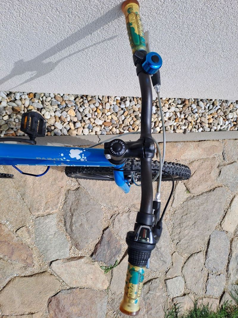 Superior Paint 20"