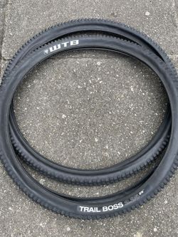 WTB TRAIL BOSS 29x2,25 drát