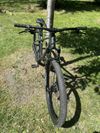 TREK Marlin 7