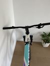 Canyon Exceed CF7