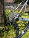 Ridley Kanzo A - vel 55 