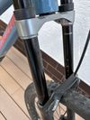 Specialized demo 2020