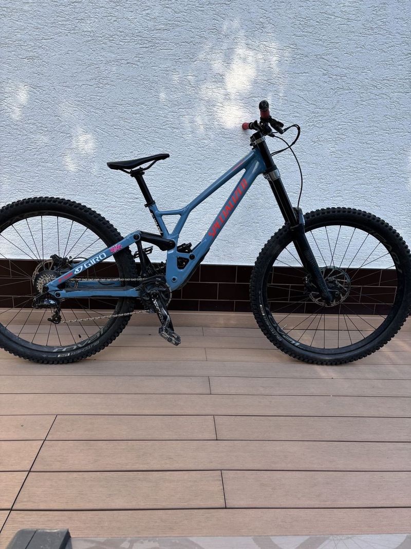 Specialized demo 2020