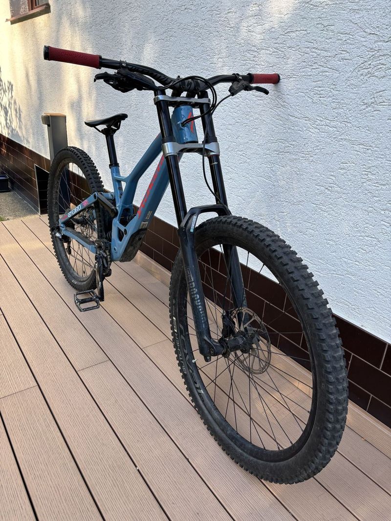 Specialized demo 2020