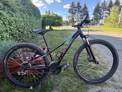 Lehké dívčí kolo Specialized 