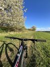 Lehké dívčí kolo Specialized 