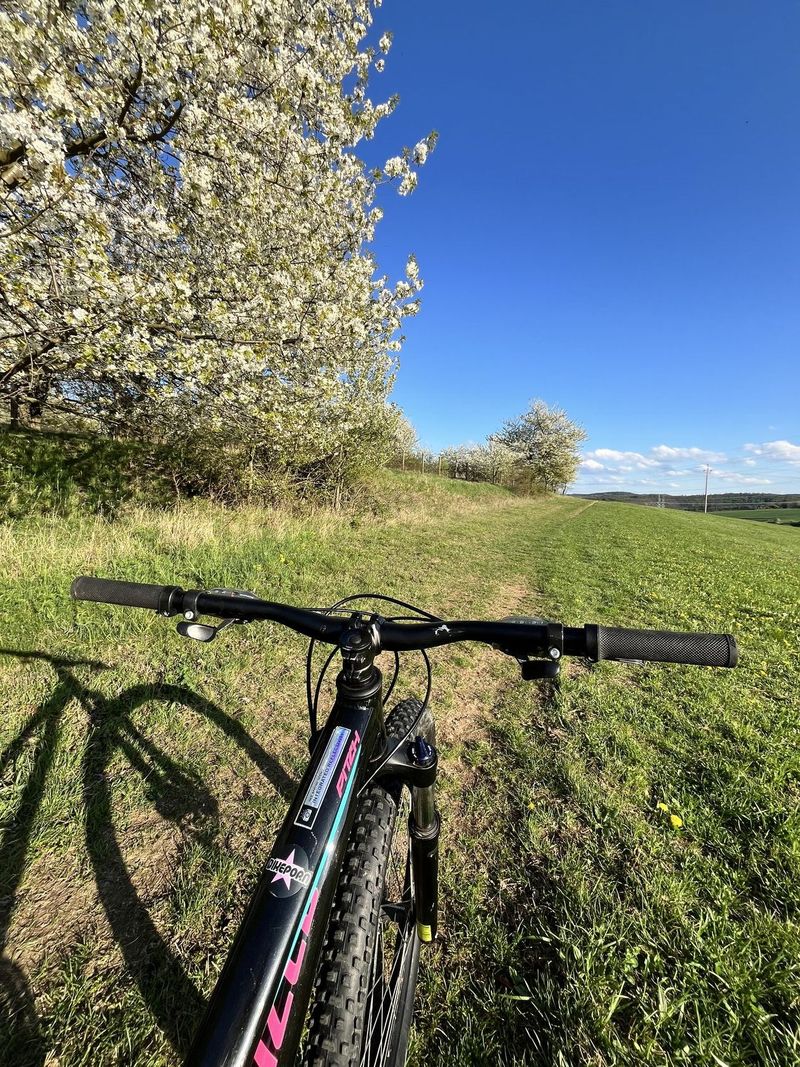 Lehké dívčí kolo Specialized 