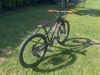 Orbea MX 24 team disc