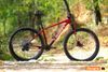 Koupím bike HT, vel.L, platba v hotovosti