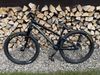 Specialized P.3 2019
