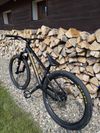 Specialized P.3 2019
