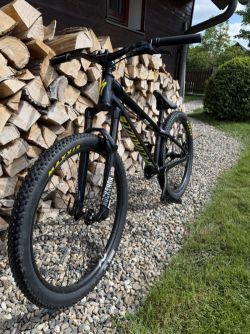 Specialized P.3 2019