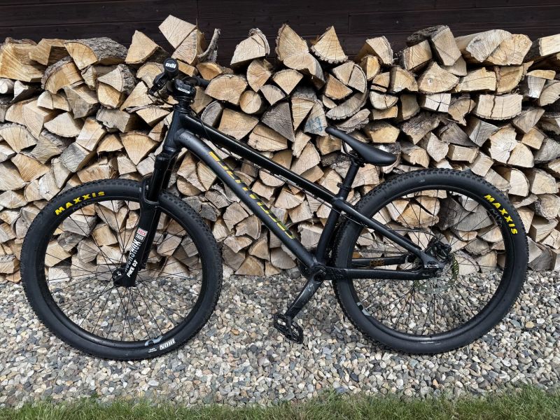 Specialized P.3 2019