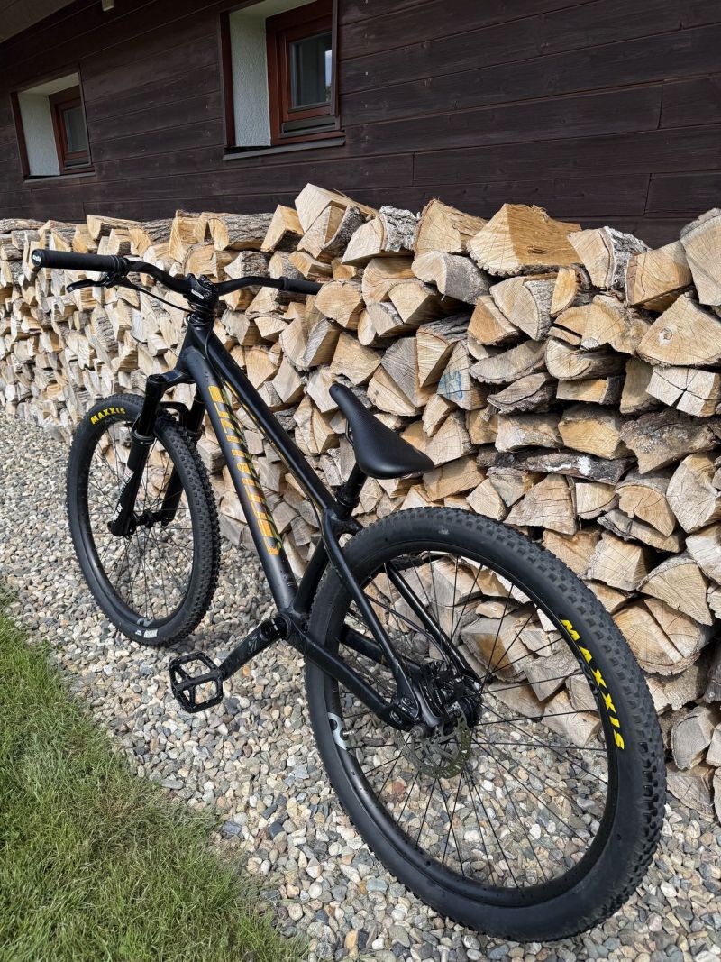 Specialized P.3 2019