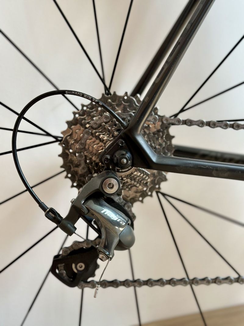 Focus Cayo Carbon (58, XL)