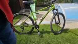 Cannondale trail 29