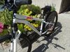 Dívčí - Dámské kolo Rockrider ST 100
