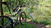 Cannondale Scalpel, XL, Lefty, Carbon