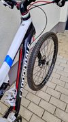 Cannondale Scalpel, XL, Lefty, Carbon