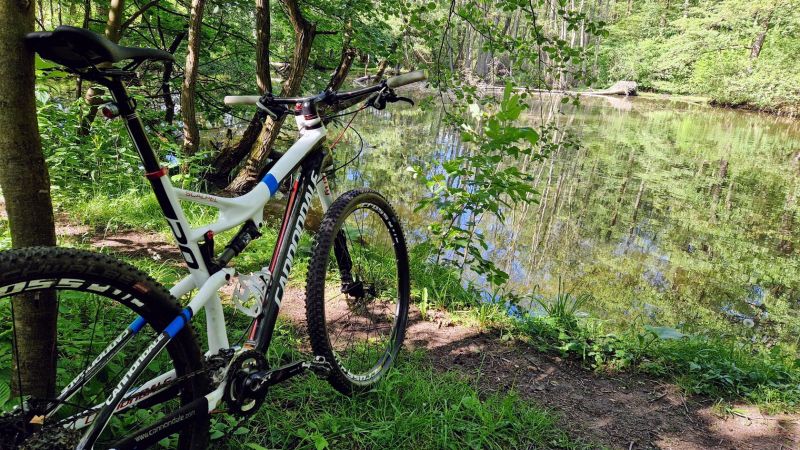 Cannondale Scalpel, XL, Lefty, Carbon