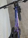 TREK horské kolo Procaliber 9.5 2025 Gen 3 Purple Flip/Hex Blue