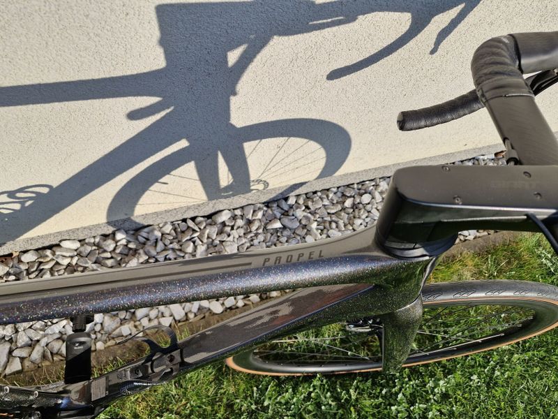 Giant PROPEL 2021