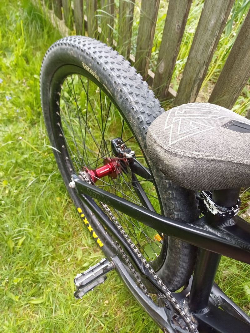 CTM dirtking 2020