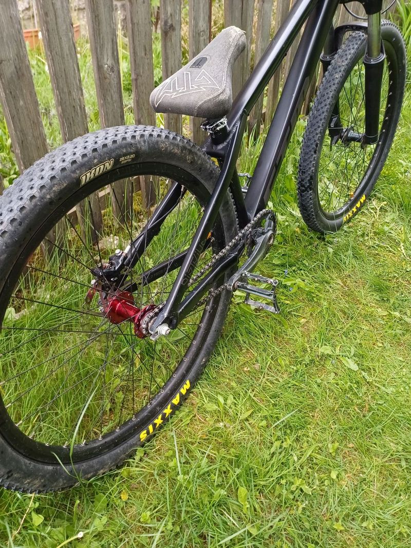 CTM dirtking 2020