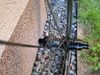 DT swiss ER 1600 SPLINE