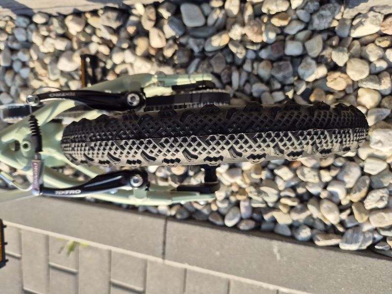 Early Rider Seeker 14"